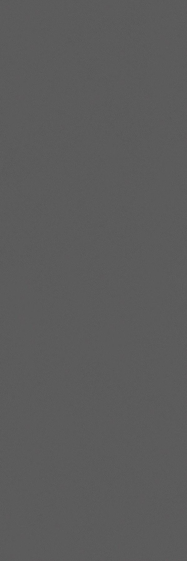 Putty  Grey